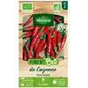 Graines - Vilmorin - Piment de Cayenne - BIO