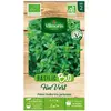 Basilic fin vert bio Vilmorin