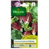 VILMORIN Chicorée à larges feuilles en mélange