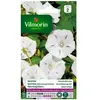 VILMORIN Ipomée blanche étoilée à grande fleur blanche