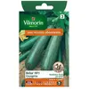VILMORIN Sachet graines de Courgette BELOR