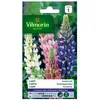 VILMORIN Lupin annuel en melange