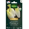 VILMORIN Chicorée Witloof Endive de Bruxelles