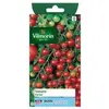 VILMORIN Tomate cerise Sachet de graines