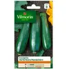 VILMORIN Courgette verte noire maraichère