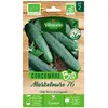 Concombre Marketmore 76 bio Vilmorin