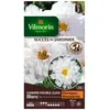 VILMORIN Cosmos Double Click blanc