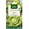 VILMORIN Laitue Pommee Appia