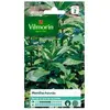 VILMORIN Menthe poivrée