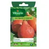 Graines - Vilmorin - Potiron Potimarron