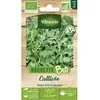 Roquette cultivée bio Vilmorin