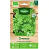 Graine - Vilmorin - Cerfeuil Commun - BIO