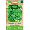 Persil géant d Italie bio Vilmorin