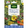 Sachet graines Mélange de Fleurs Flamboyant-