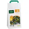 VILMORIN Sachet graines Mélange de fleurs Couvrant 100 à 300m2