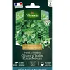 VILMORIN Persil géant d’Italie race Novas
