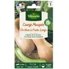 Graines - Vilmorin - Courge Musquée de Nice à Fruits Longs