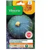 VILMORIN Sachet graines Potiron ( courge Kabocha ) Green Hokkaido