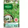 VILMORIN Sachet graines ciboule de chine