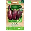 Betterave cylindra bio Vilmorin