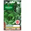 Vilmorin - Sachet graines Chicorée à feuilles Grumolo Verde