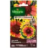 VILMORIN Gaillarde primavera