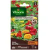 VILMORIN Zinnia graffiti