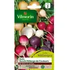 VILMORIN Mélange graines de Radis ronds différentes couleurs