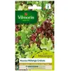 VILMORIN Mesclun cretois