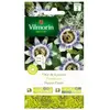 VILMORIN Sachet graines Fleur de la Passion