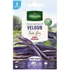 VILMORIN Graines de haricot velour gousse violette - 5 M