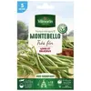 Graine - Vilmorin - Haricot Grimpant Vert Montebello - 5 m