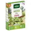 VILMORIN Graines de haricot mistica - 10 M