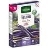VILMORIN Graines de haricot velour gousse violette - 20 M