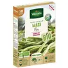 Graine - Vilmorin - Haricot Nain Vert Maxi - 10 m - BIO