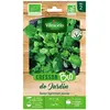 Cresson de jardin bio Vilmorin