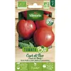 Tomate cuor di bue bio Vilmorin