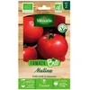 Tomate matina bio Vilmorin
