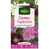 VILMORIN Cosmos Psychée varié