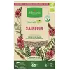 VILMORIN Graines de Sainfoin BIO , boite de 350 grs-