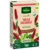VILMORIN Graines de Trefle Incarnat BIO , boite de 375 grs-