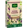 VILMORIN Graines de Luzerne Flamande BIO , boite de 375grs