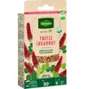 VILMORIN Graines de Trefle Incarnat BIO , sachet de 60 grs-