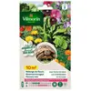 Vilmorin - Sachet de graines - Mélange de fleurs pour tortues terrestr...
