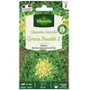 VILMORIN Chicorée Scarole Grosse Bouclée 2