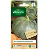 VILMORIN Sachet de graines Melon Petit Gris de Rennes-