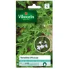 VILMORIN Sachet de graines Verveine Officinale-