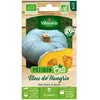 Graines - Vilmorin - Potiron Bleu de Hongrie - BIO