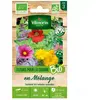 VILMORIN Sachet de graines Fleurs pour la cuisine en Mélange BIO-