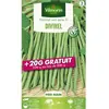 Graine - Vilmorin - Haricot Nain Vert Divinel + 20 g Offert
